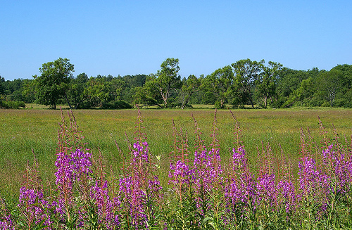 Soomaa National Park